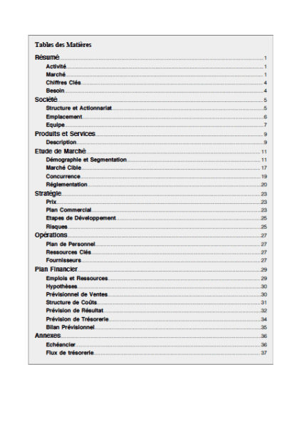 table des matières du modèle de business plan de micro-brasserie