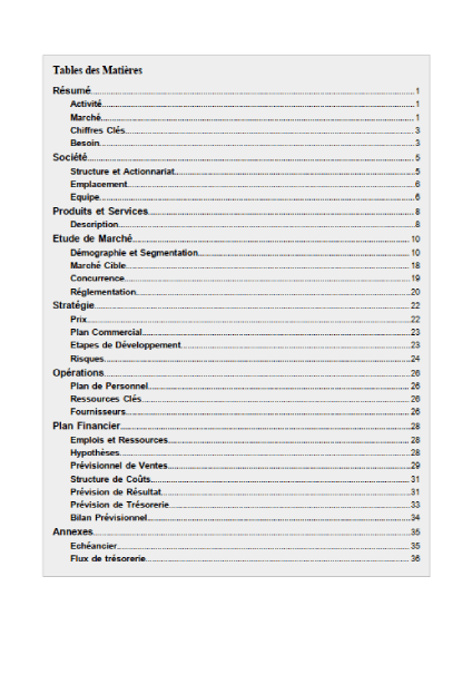 table des matières du modèle de business plan glacier