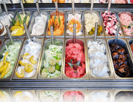 Modèle de business plan de glacier