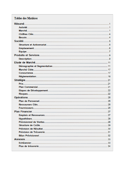 table des matières du modèle de business plan de kombucha