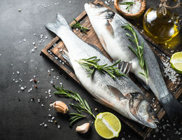 Fish shop business plan template