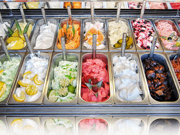 ice cream parlour business plan template