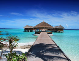 Travel agency business plan sample