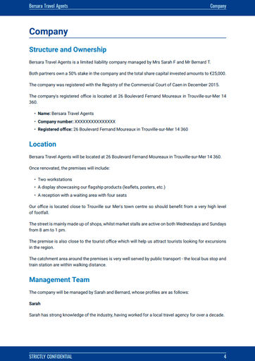 travel agent business plan sample company overview included in travel agency business plan template