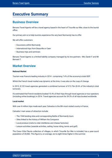 travel agent business plan sample executive summary for travel agency business plan sample