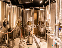 Microbrewery business plan template