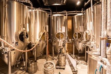 buisness plan template for a microbrewery