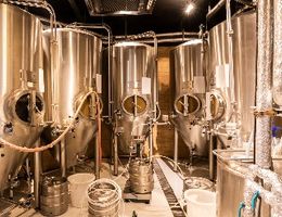 buisness plan template for a microbrewery
