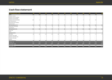 laundromat business plan template: monthly cash flow forecast