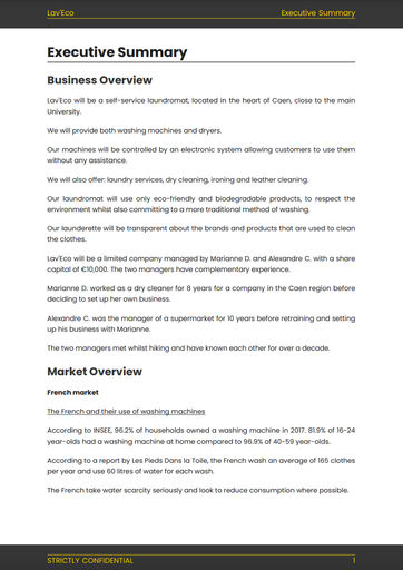 dryclean and laundry business plan executive summary for dry cleaners & laundromat business plan sample