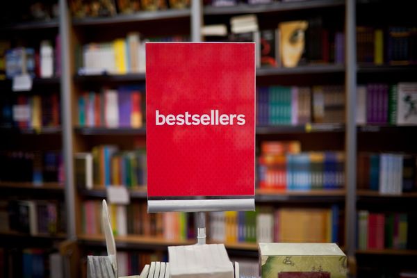 business plan for a bookstore products and services section: bestseller genre