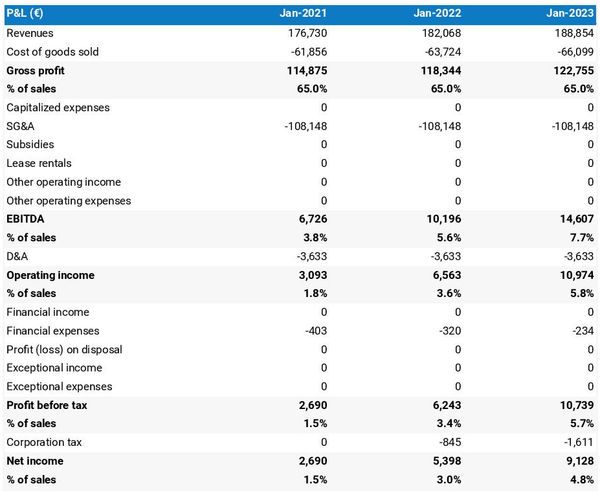 business plan for a bank loan: projected profit and loss statement