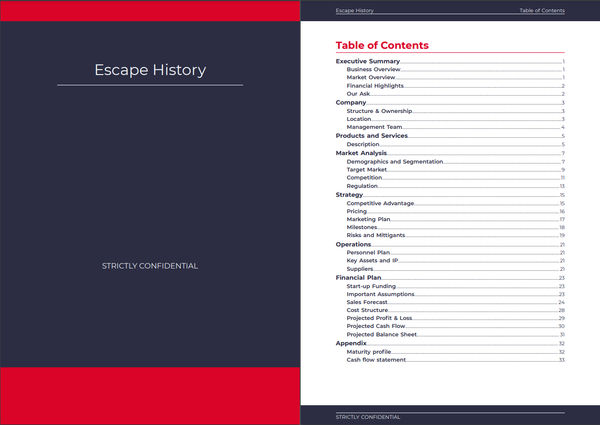 3 year business plan PDF