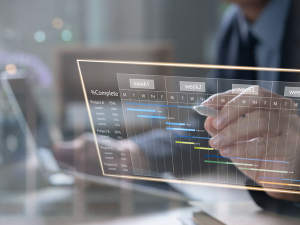 gantt chart to show the milestones of the business plan