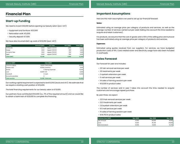 important assumptions in business plan example