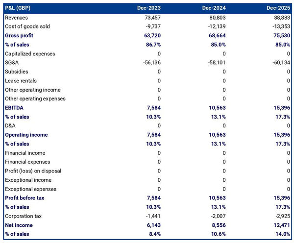 example of projected profit and loss statement in an errand service business plan