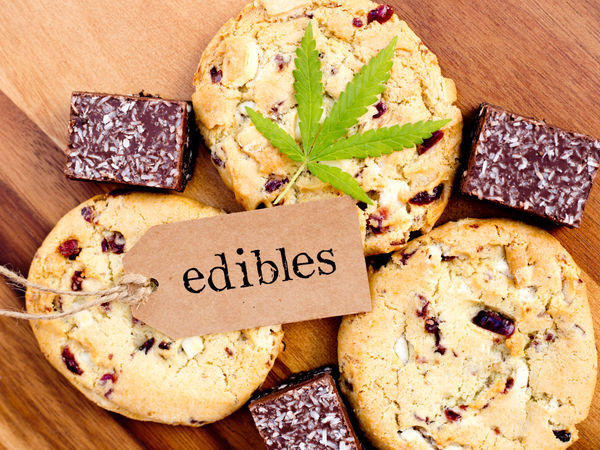 edibles brand business plan