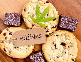 Guide to create a business plan for an edibles brand