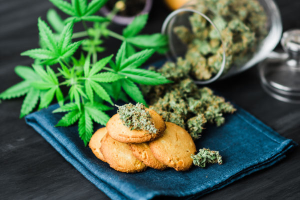 a range of cookies mixed with edibles: illustration for the products and services section of the business plan