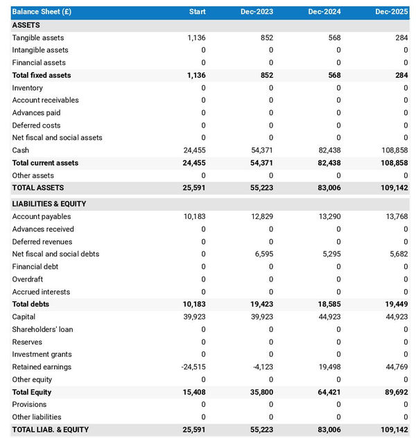 example of projected balance sheet in a courier business plan
