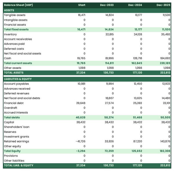 projected balance sheet in a camera store business plan example