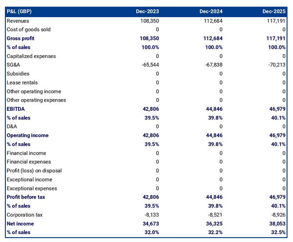 projected profit and loss statement example in a escort agency business plan