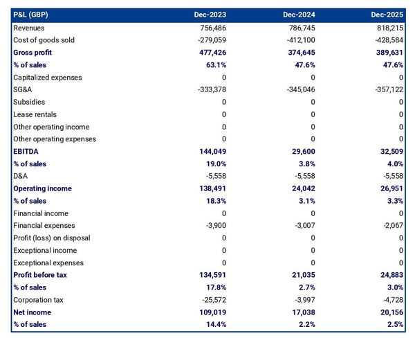 forecasted profit and loss statement in a lingerie shop business plan