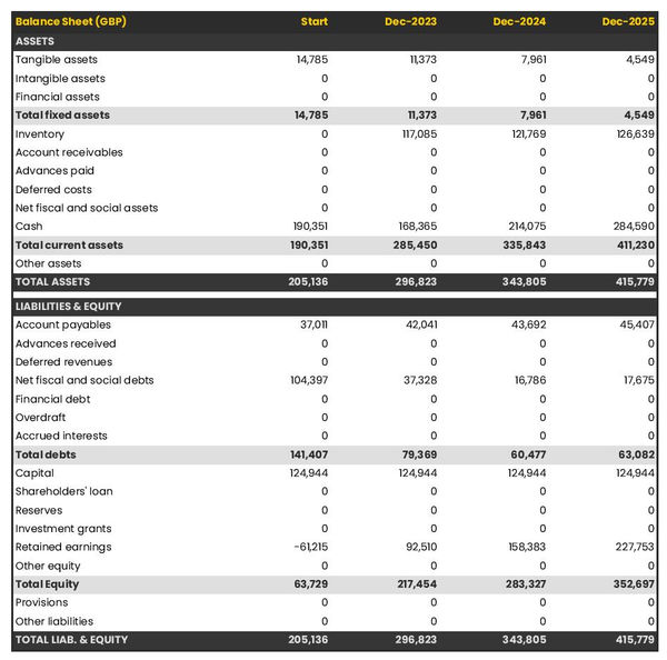example of projected balance sheet in a cardiology practice business plan