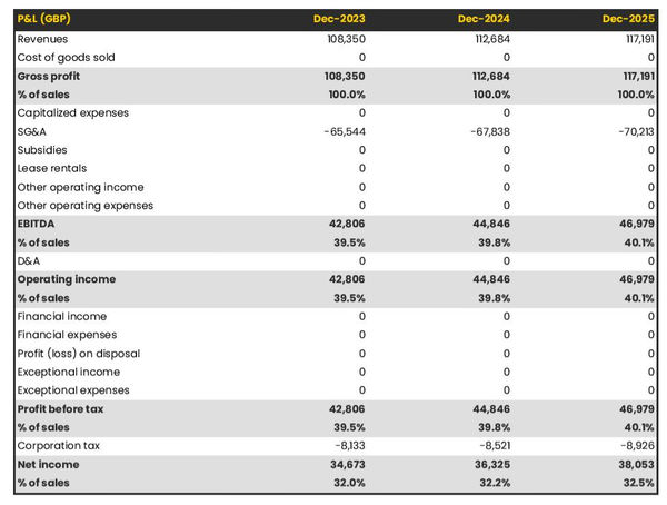 example of projected profit and loss statement in a matchmaking agency business plan