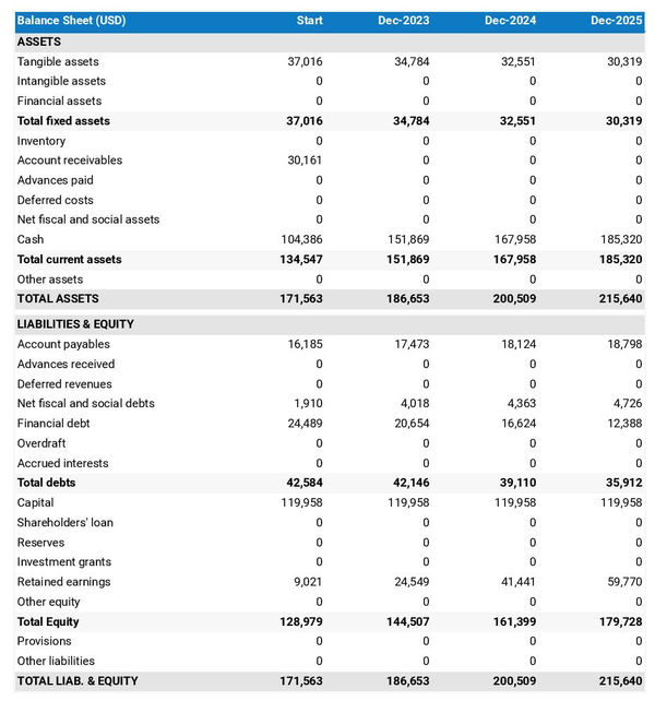 example of projected balance sheet in a surf rental company business plan