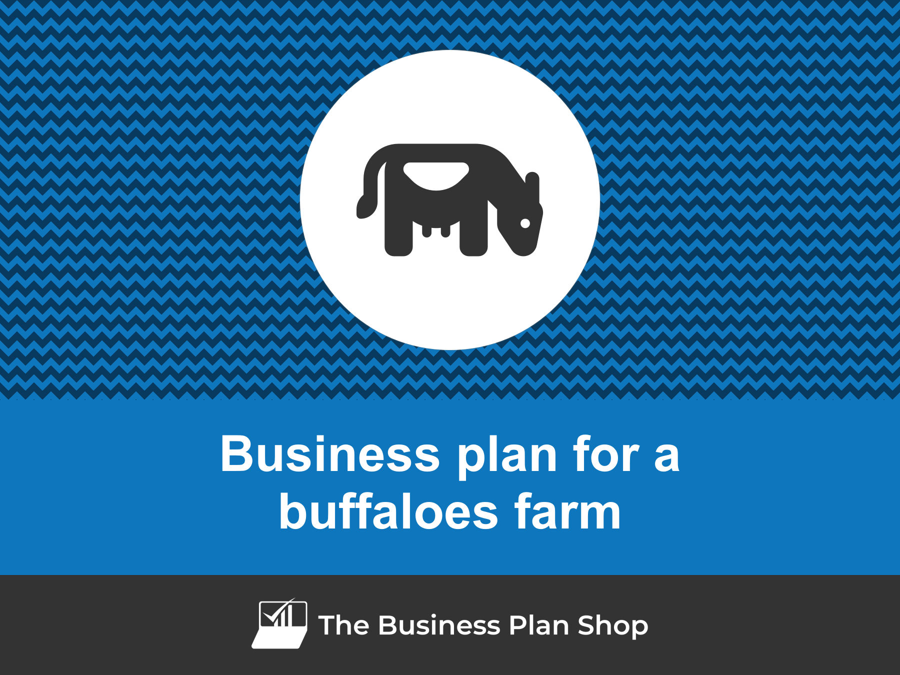 buffalo farming business plan