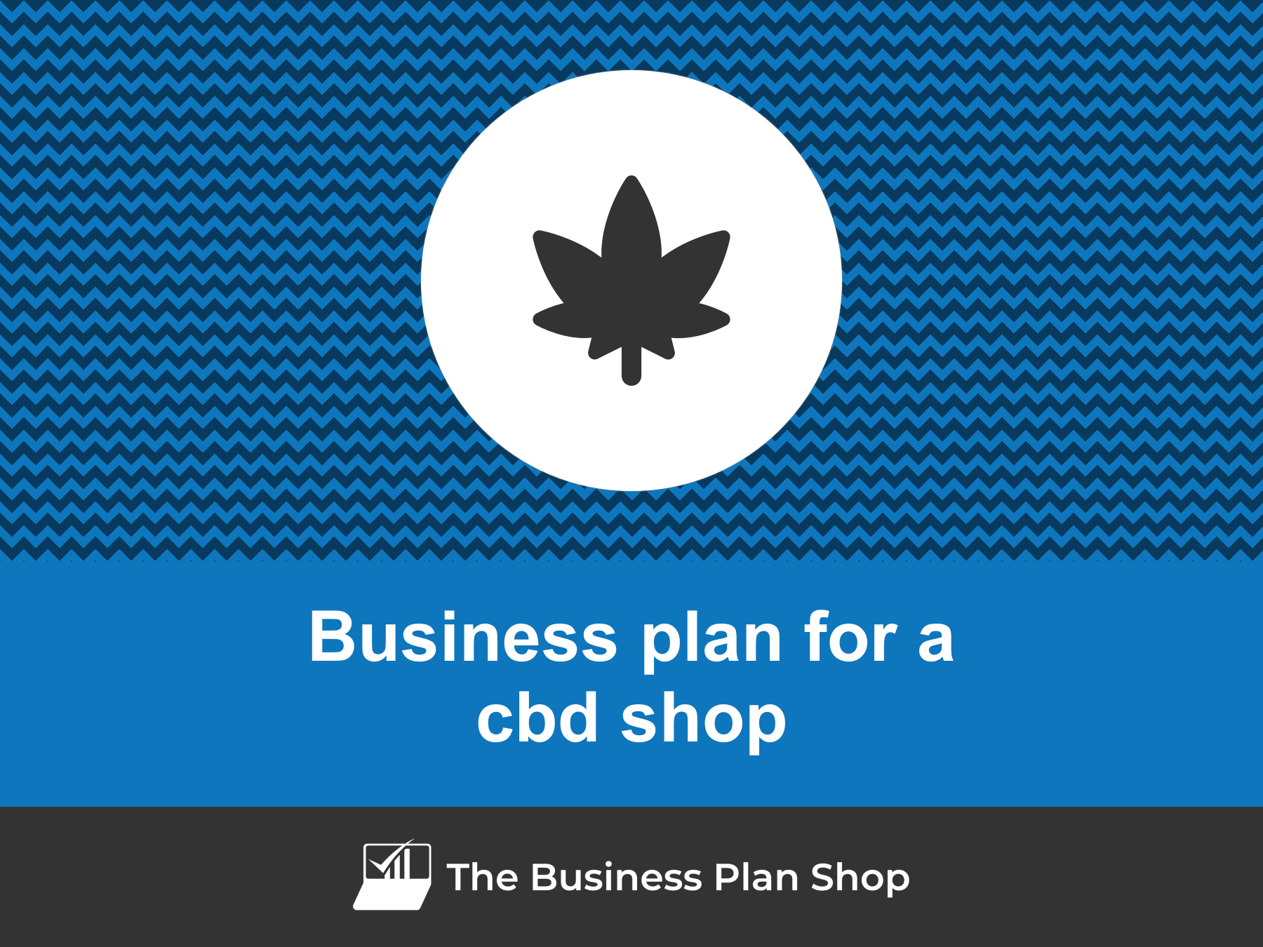 How To Write A Business Plan For A Cbd Shop?