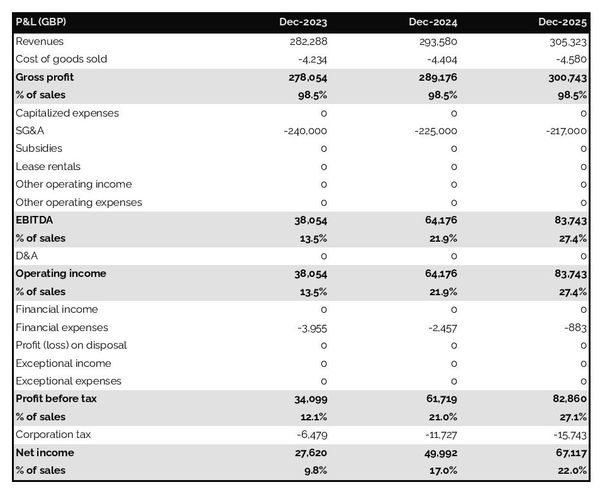 forecasted profit and loss statement in a media representation agency business plan