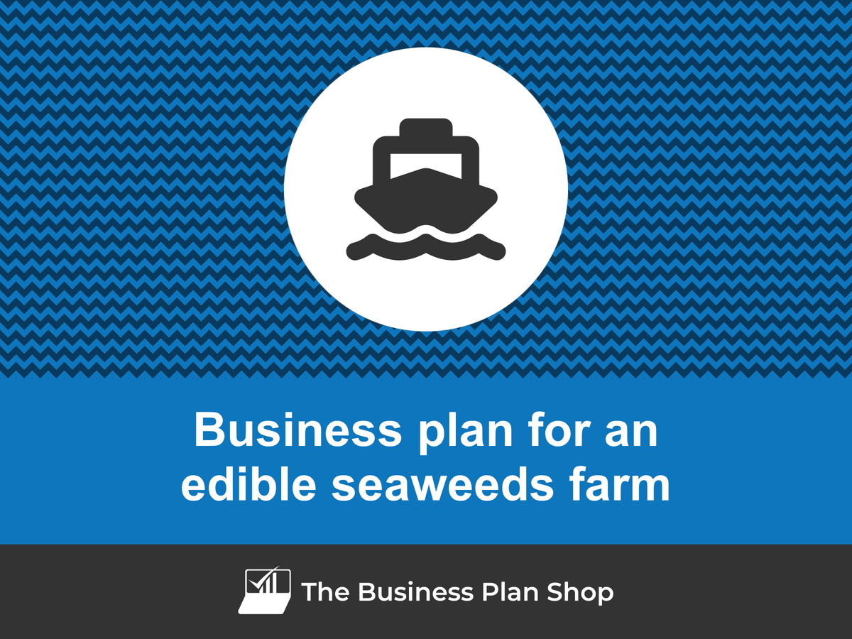 business plan for seaweed farming