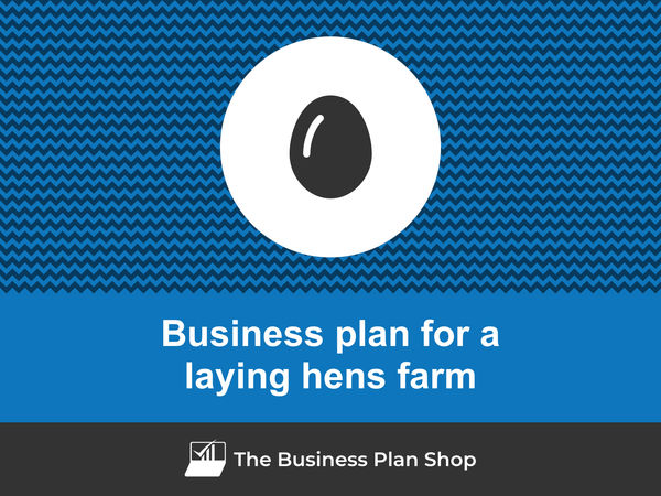 laying hens farm business plan