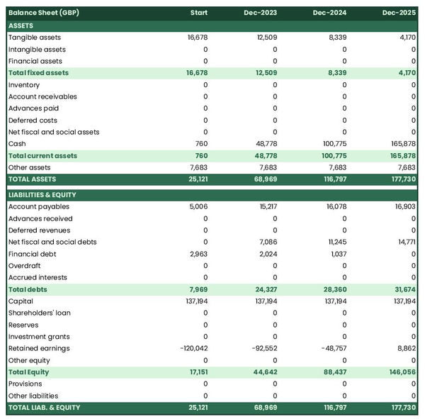 projected balance sheet in a risk assessment company business plan example