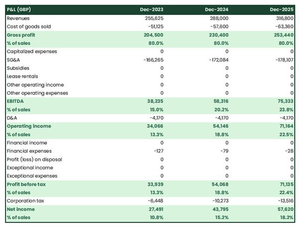 example of projected profit and loss statement in a actuarial services business plan