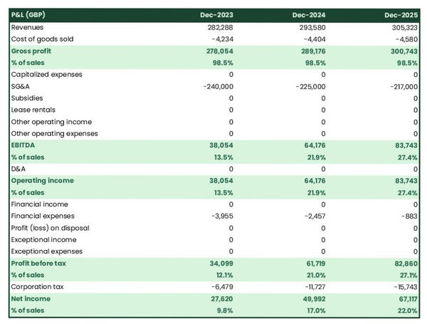 projected profit and loss statement example in a content marketing agency business plan