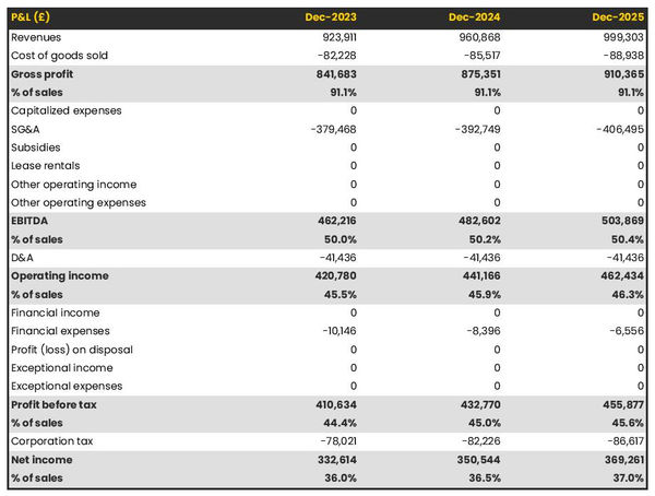 projected profit and loss statement example in a aerial photography company business plan