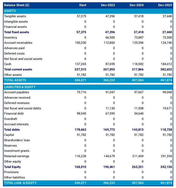 example of projected balance sheet in a bulk fuel supplier business plan