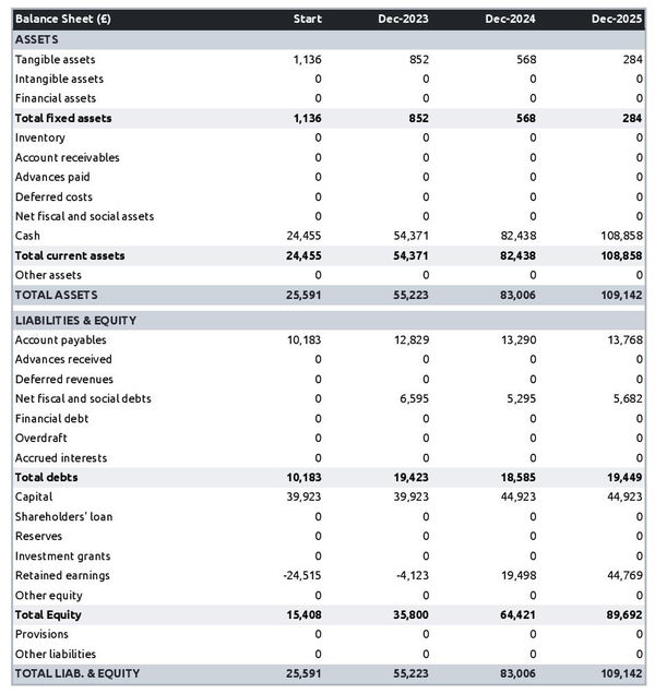 example of projected balance sheet in a log and lumber hauling firm business plan