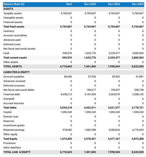 example of forecasted balance sheet in a student residence business plan