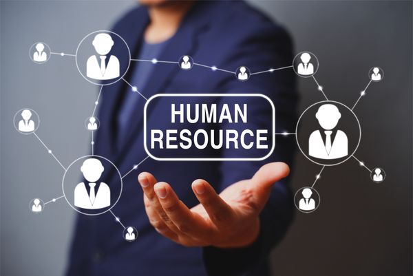 writing the personnel plan section of your business plan: human resources