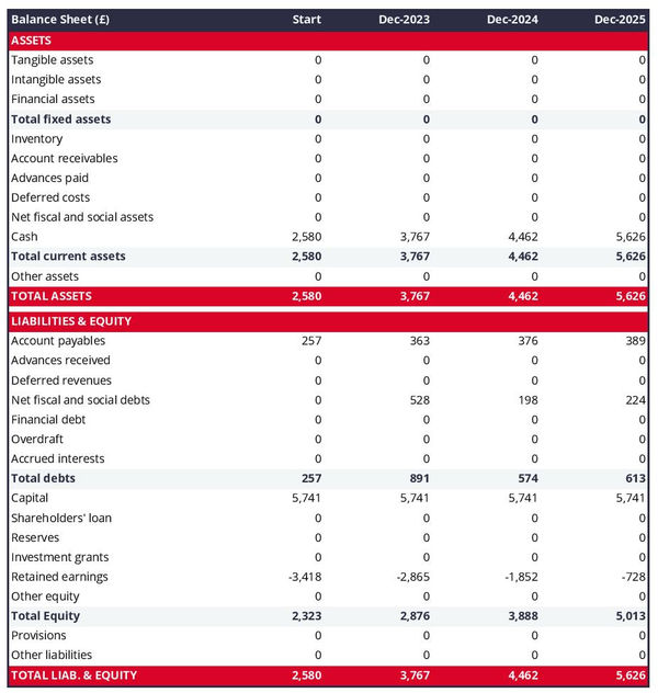 example of projected balance sheet in a hinnies breeder business plan