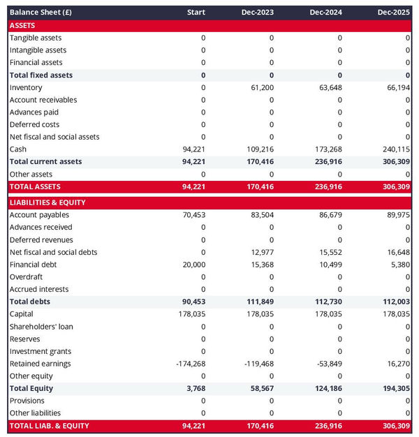 example of projected balance sheet in a gynecologist business plan