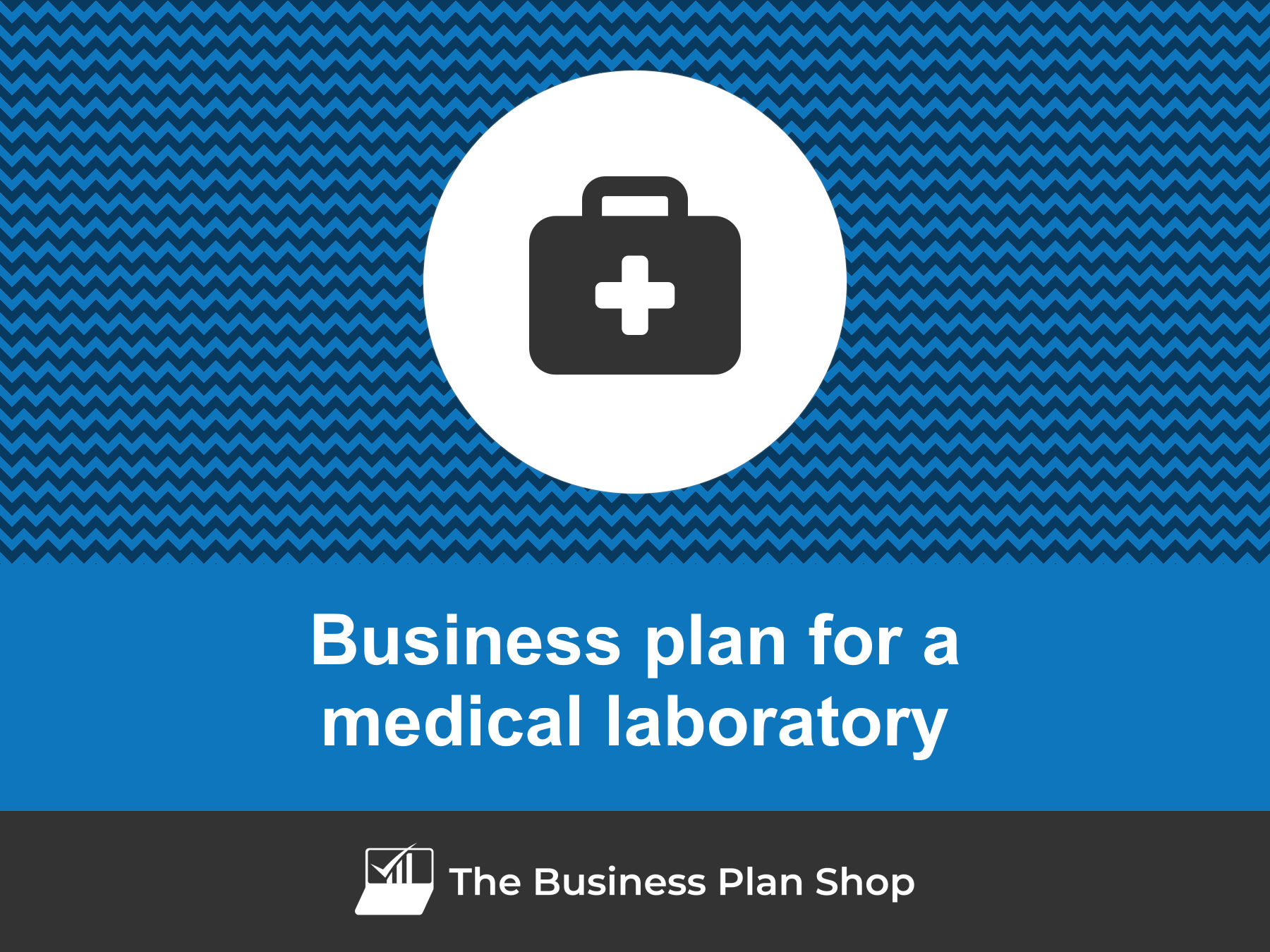 How to write a business plan for a medical laboratory?