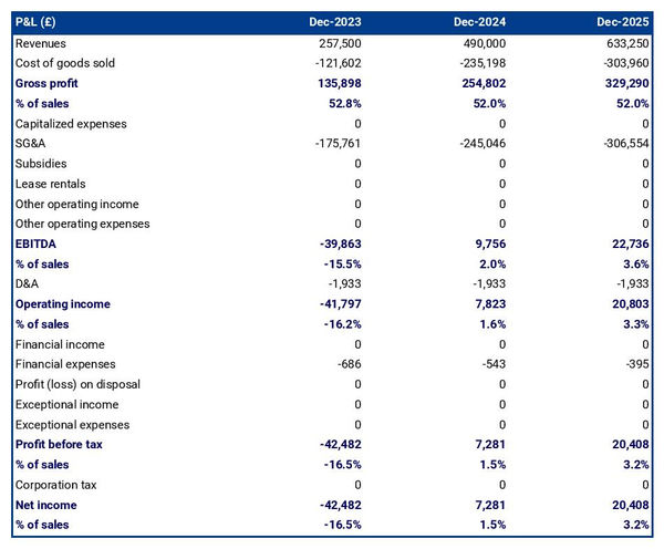 example of projected profit and loss statement in a subscription box business plan