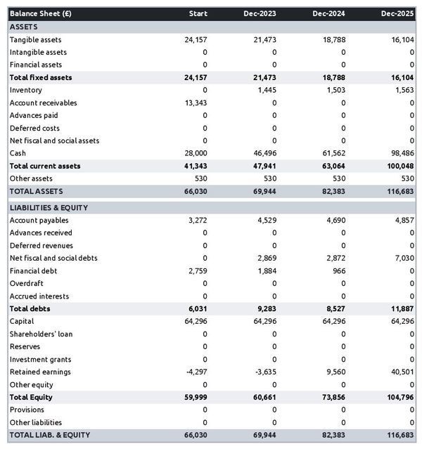 example of projected balance sheet in a bird farm business plan