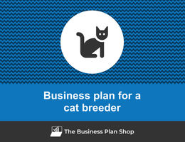 Guide to create a business plan for a cat breeding company