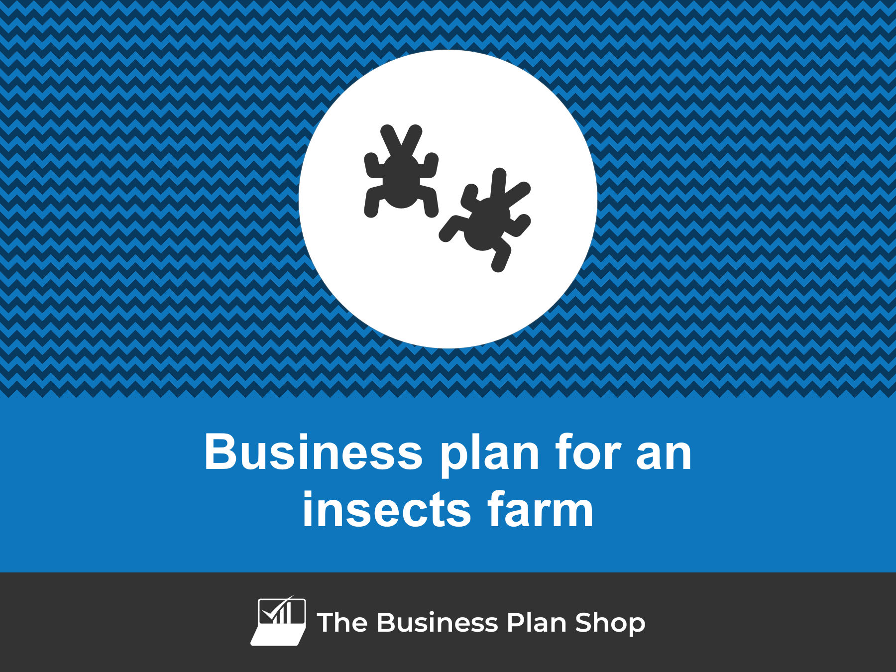 business plan insect farm